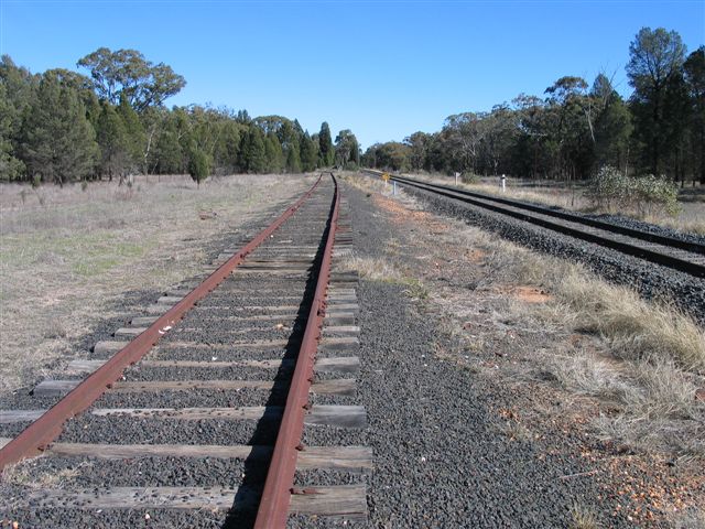 
The dead end siding at Ballimore looking towards Dubbo, with the main line
on the right.
