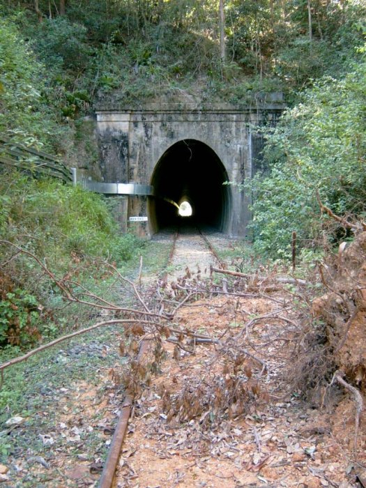 The southern portal looking in the down direction. The high rainfall in the area has caused a land slip across the line. The conduit through the tunnel is part of the Country Energy line that runs along the right of way from Mullumbimby to Murwillumbah.