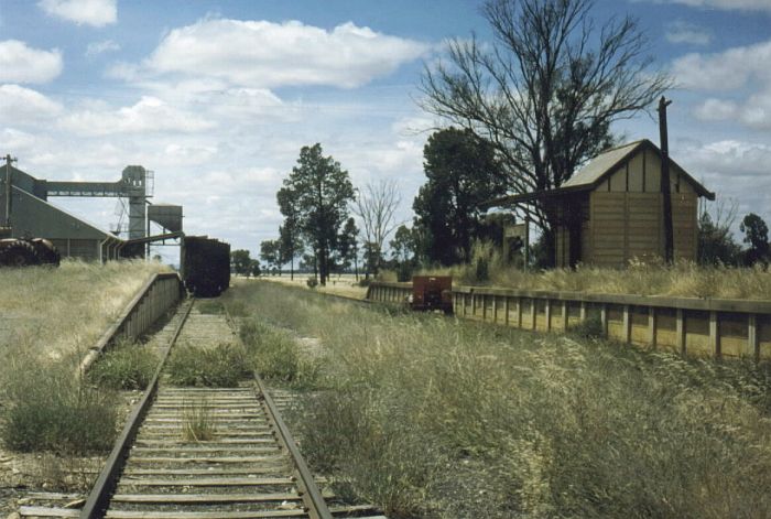 
This 1980 scene still shows some activity with freight wagons in the siding
and a gangers trike at the platform.  This shot is looking up the line
towards Uranquinty.
