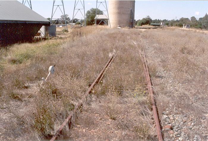 The view of the points leading to the back siding in the Brocklesby yard. This line proceeds between the silos and the grain shed, past a loading bank and rejoins the main line at the Culcairn end of the yard. The points leever still works.
