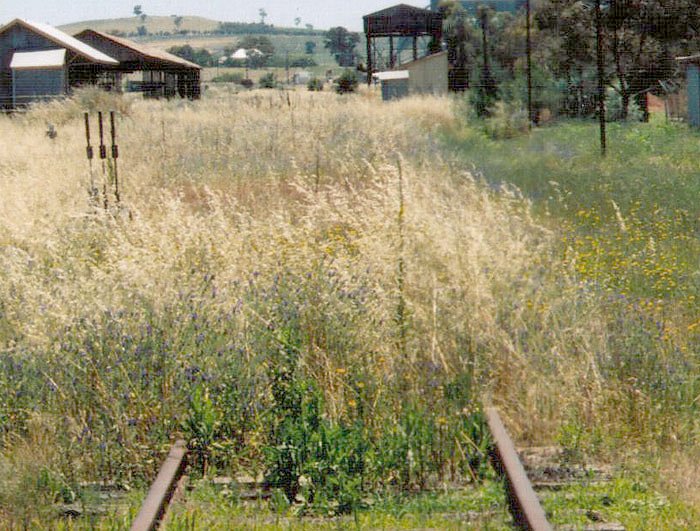 The view looking towards the station from the road crossing at the Cowra end. 