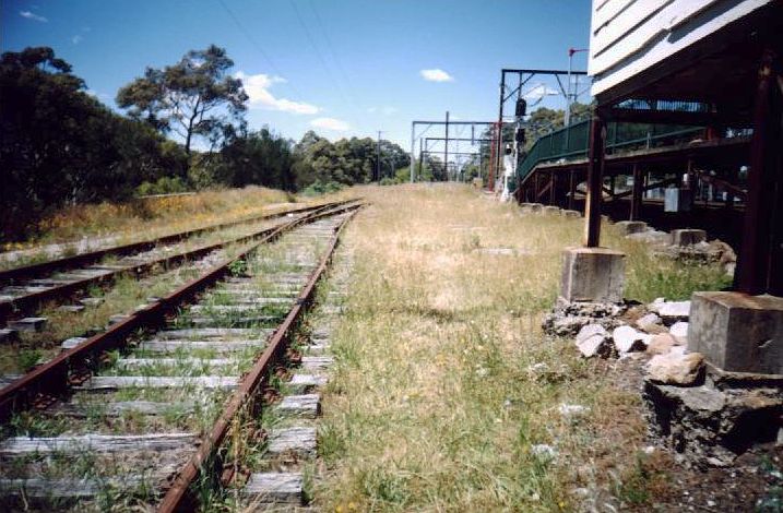 
The view looking south showing the overgrown per-way sidings behind the
up platform.
