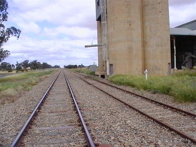 
A view of the silo and wheat siding, looking back towards Temora.  The
one-time station was about 100m away in the distance.
