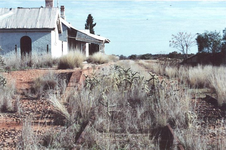 
The view along the platform road looking in the direction of Bourke,
showing more of the unusual vegetation.
