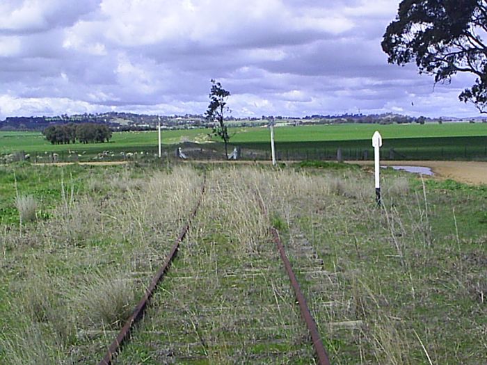 
The level crossing at the up end of the yard.  The town of Cowra is
visible in the distance.
