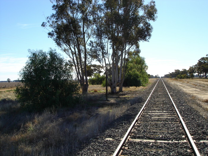 The view looking north towards Deniliquin.