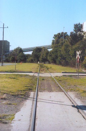 A view of the spur line (adjacent to the Cormorant Road) from Kooragang Island branch looking towards the Kooragang Coal loader.