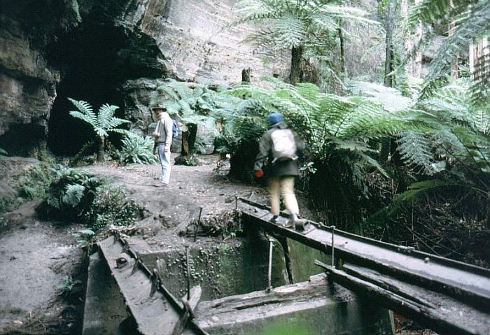 
North of Deane, the line passes through two tunnels.  This is the northern
entrance to Tunnel No 2.  Today it is well-known for its collection of
glow worms.
