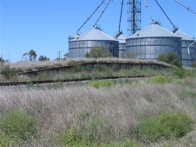 
The overgrown goods bank, and silos.
