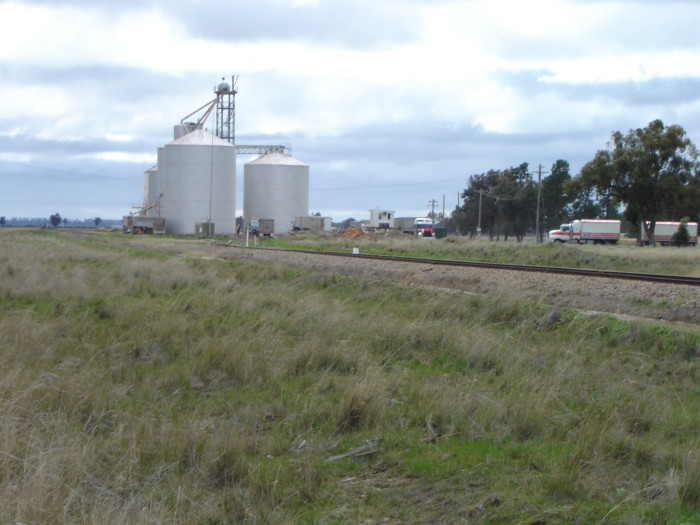 The silos at Sangar, with a fleet of trucks waiting to collect grain.