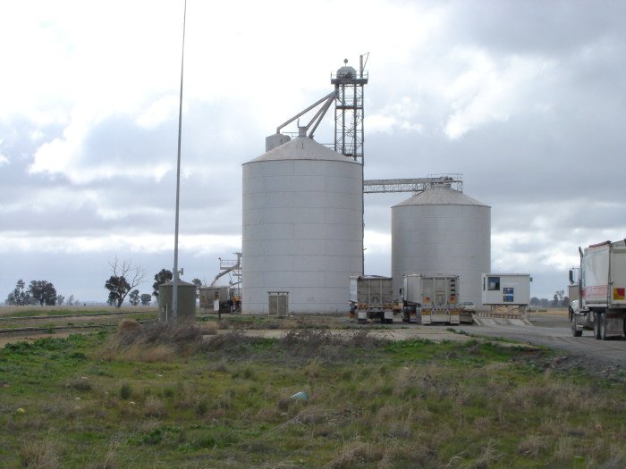 A closer view of the silos, with grain being loaded onto a truck in the silo siding.