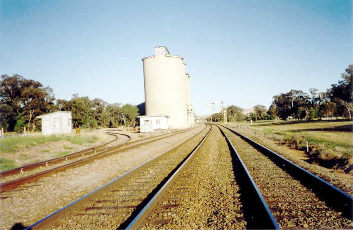 The view looking towards Sydney.  The track from left to road are the silo road, siding, Parkes and Temora lines.