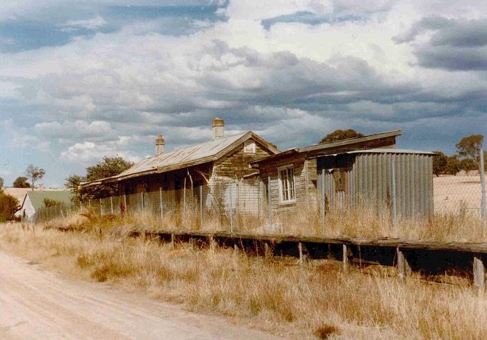
Tarcutta station had obviously seen better days when this photo was taken in
1984. At the time it was being used as a depot by the Department of Main
Roads.
