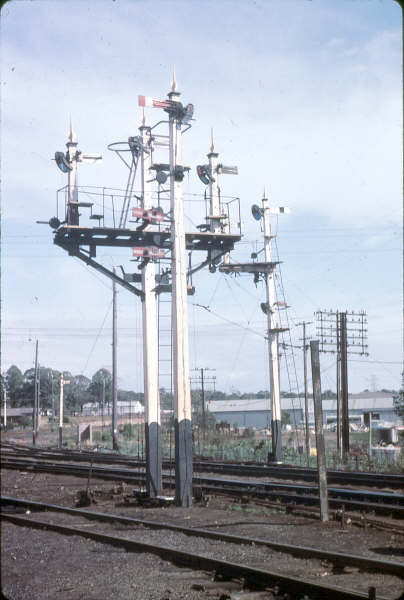 An assortment of signals, controlled by Taree South signal box.