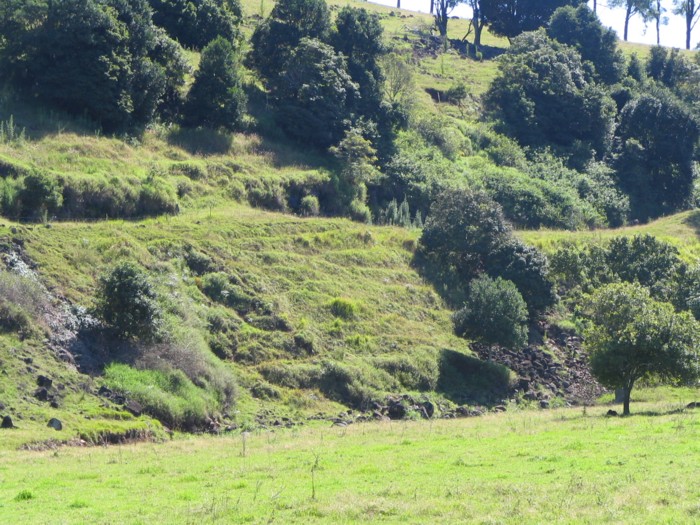 A close up view of the hillside route.