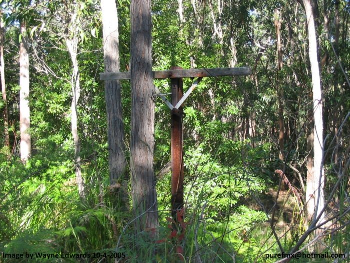 The remains of the telegraph line along the branch.