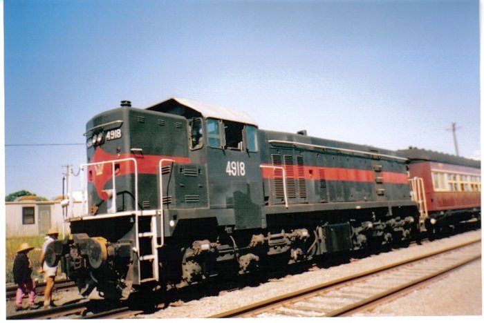 Preserved loco 4918 heads a tourist train.