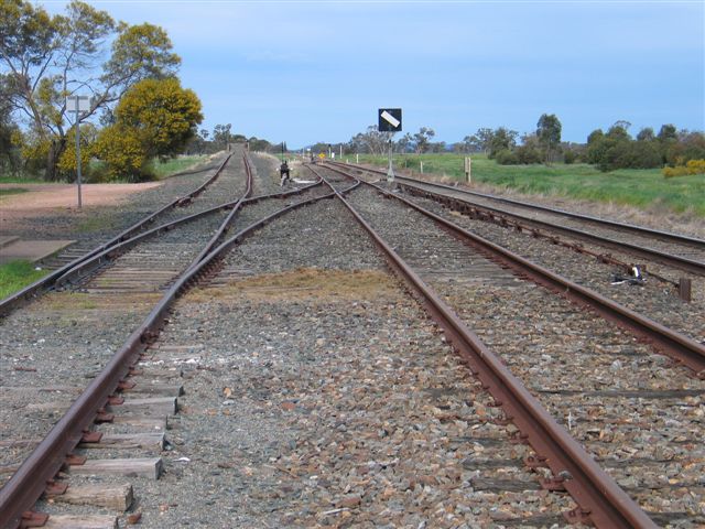The view looking east towards Parkes.  From left to right, the tracks are te dead end silo siding, the loop siding and the main line.