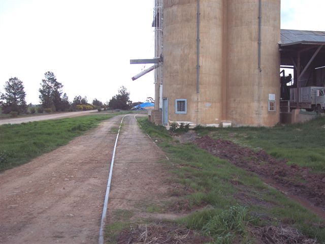 
The silo loop, looking back towards Rankin Springs.
