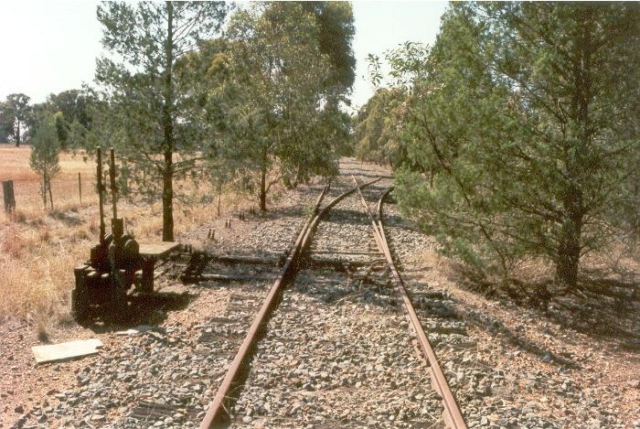 
The view from the H frame at the down end of the stockyard siding, looking
back towards Culcairn.
