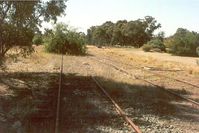 
The view of the up end of the Balldale yards.
The remains of the platform are behind the bush growing on the main line.
