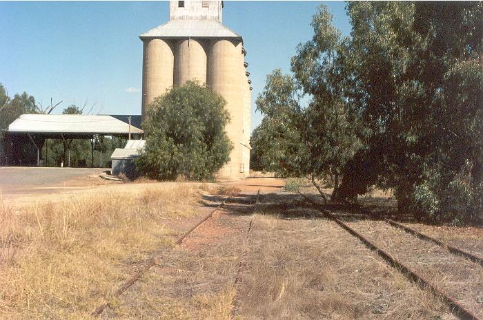 
A view of the silos and yards looking down towards Corowa.
