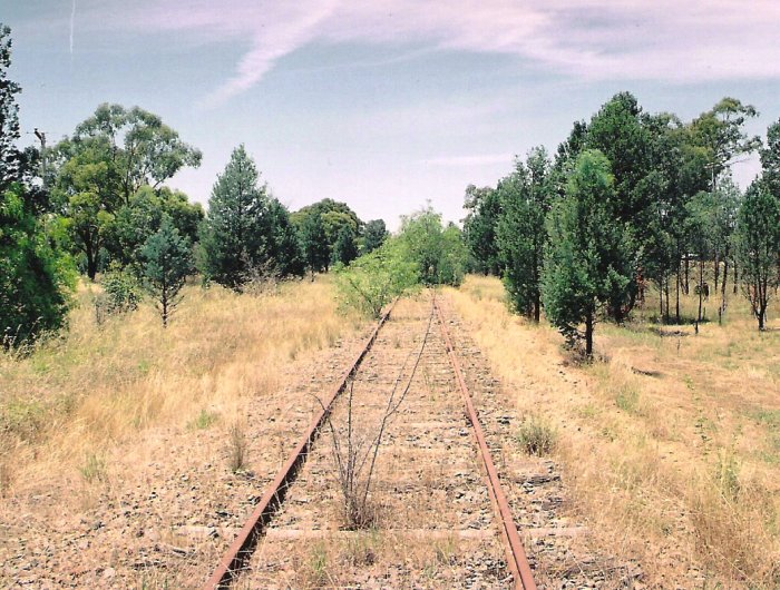 The view of the track looking in the up direction towards Culcairn.