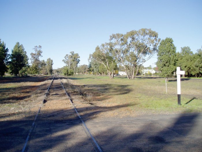 The view looking south towards Baradine from a nearby level crossing.
