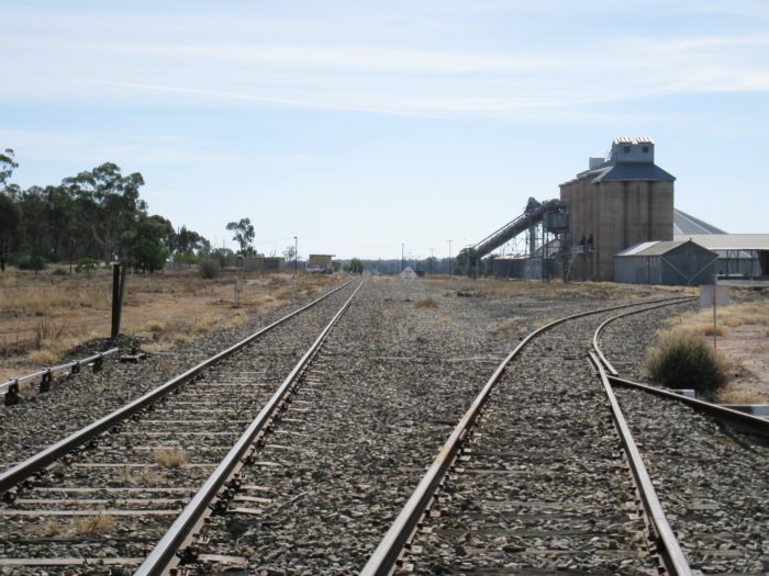 The view looking north, with the station remains visible in the left distance. No trace remains of the loop siding between the main line and the grain siding.