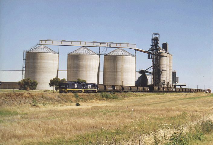 
8144 and 8227 are dwarfed by the silos at Bellata.
