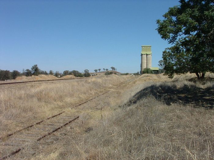 
The view looking southwards.  The line closest is a siding which served the
silos and the grain shed.  The line in the distance is the main line.
