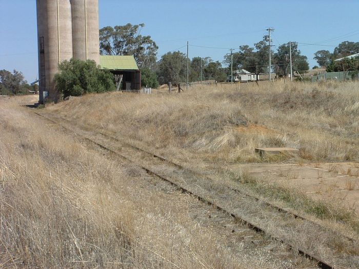 
The view looking southwards showing the silos and concrete base of the one-time
grain shed.

