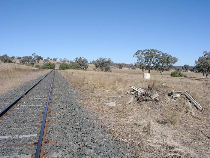 
The view looking west towards Binnaway through the probable location of
the one-time station.

