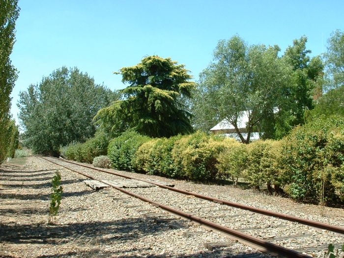 
The view along the line in the vicinity of the platform.
