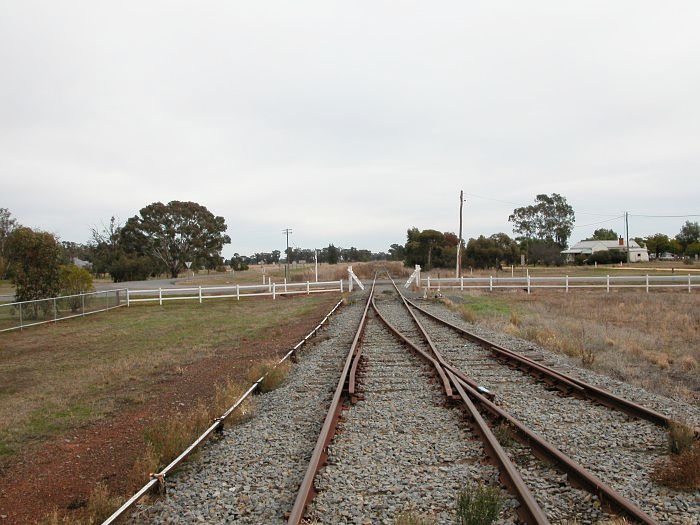 
The view beyond Boree Creek looking towards Oaklands. The current end of the
line is just a few hundred metres down the track.
