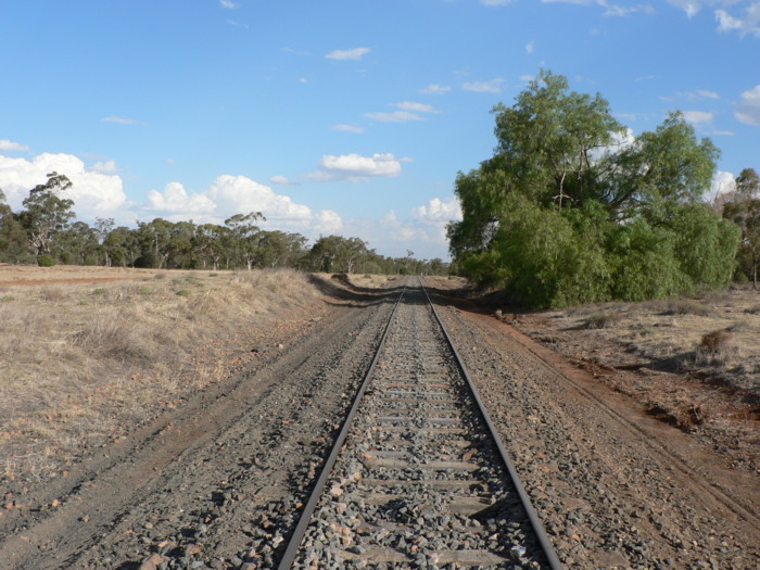 The view looking south. The station was located near where the tree now stands.