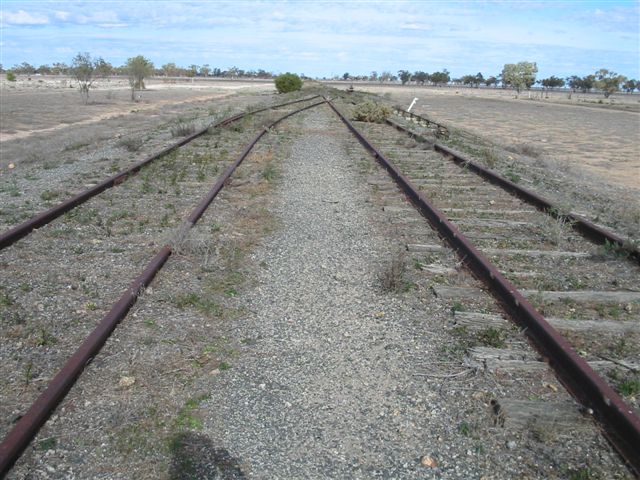 
The abbatoir branch siding off the Main Western line just south of Bourke.
The view is looking towards Nyngan.
