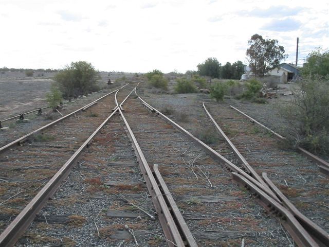 
A view looking towards Bourke into the partially lifted abbatoir siding.

