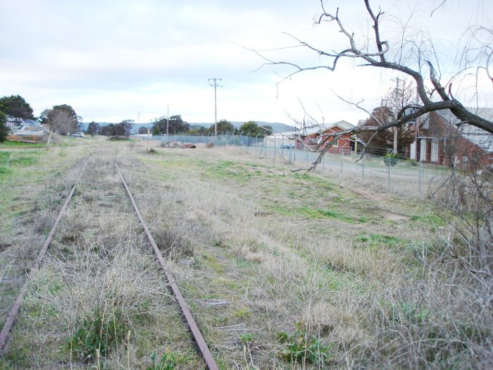 The view looking north through the one-time siding location.