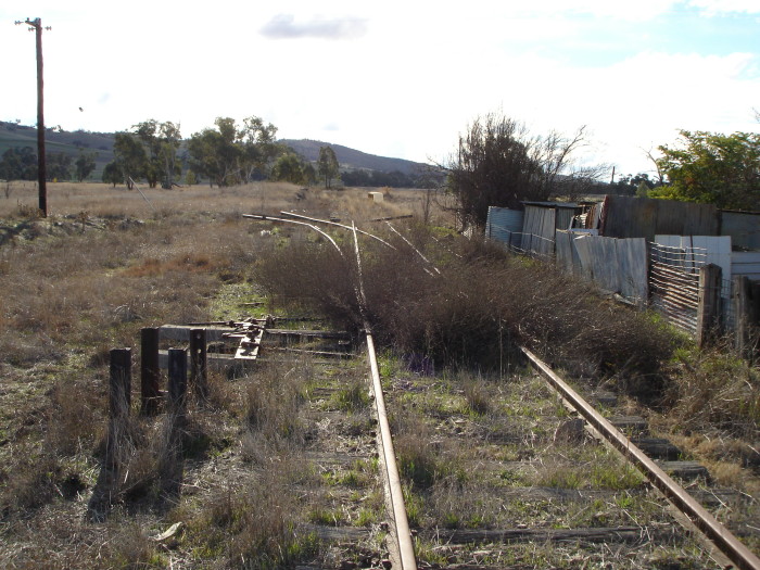The view looking north from the down end of the yard.  The passenger platform can be seen in the distance.