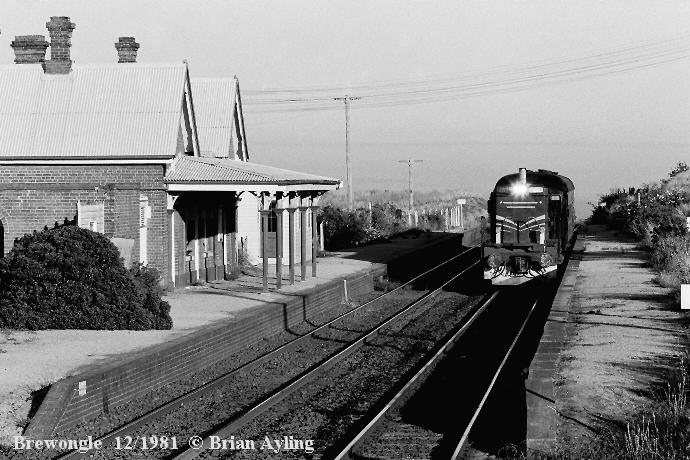 
An up passenger service from Bathurst approaching Brewongle station in
December 1981.

