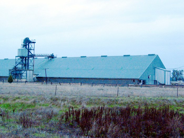 The large silo at Bribbaree.