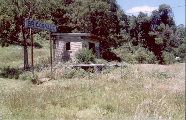 
Briggsvale station still features its nameboard, alongside the small shelter
and overgrown platform.
