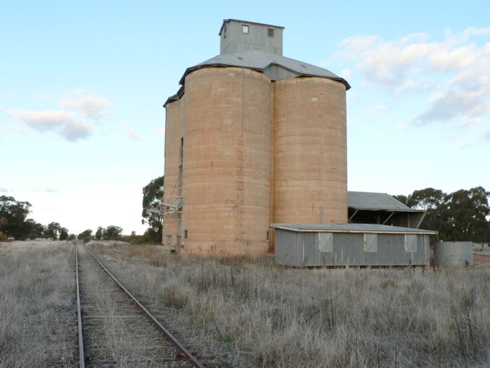 The view looking east past the silos. The station was located somewhere on the left of the track.