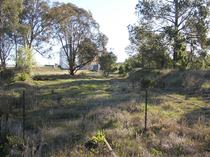 Looking west from Urana Road into an overgrown Burrumbuttock station yard. The truncated line in the foreground led to the grain, goods and loop sidings. The main line is on the right, with the former platform just around the corner.