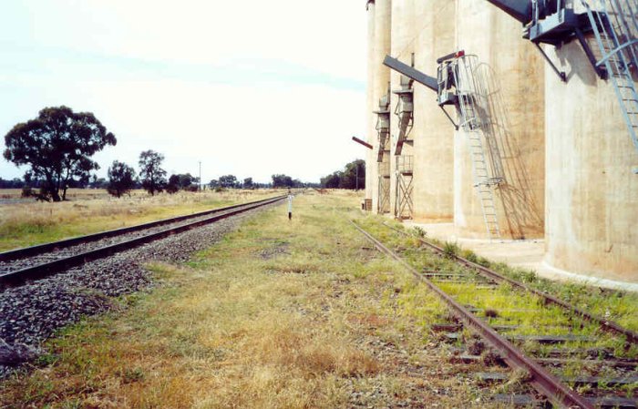 The view looking along the wheat siding back towards Temora. The one-time station was opposite the 576km post visible in the middle distance.