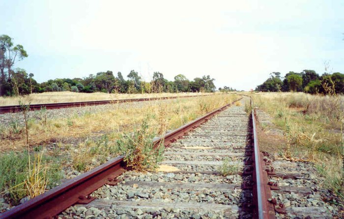 The view looking south along the wheat siding, with some recent use apparent.