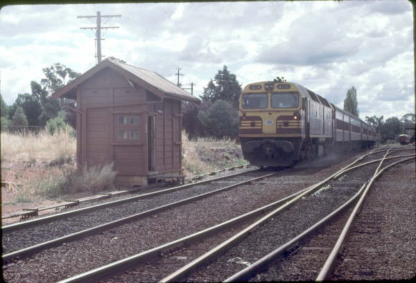 The nation's capital could not even boast a full signal box, just a Frame A. Here 42219 in 1985 stands ready to head a Sydney passenger train.