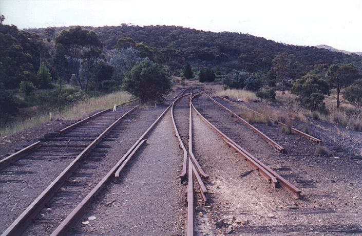 
The view of the northern end of the yard.  The turntable and loco
facilities were located behind the bush in the centre of
the photo.
