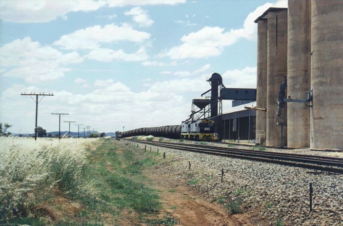 
A pair of 81 class locos at the head of a wheat train loading at the
silos.
